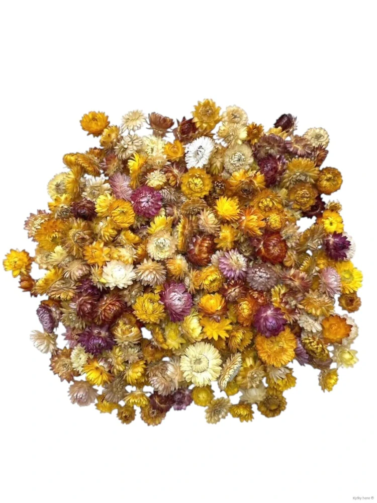 Helichrysum hlavičky 100 g