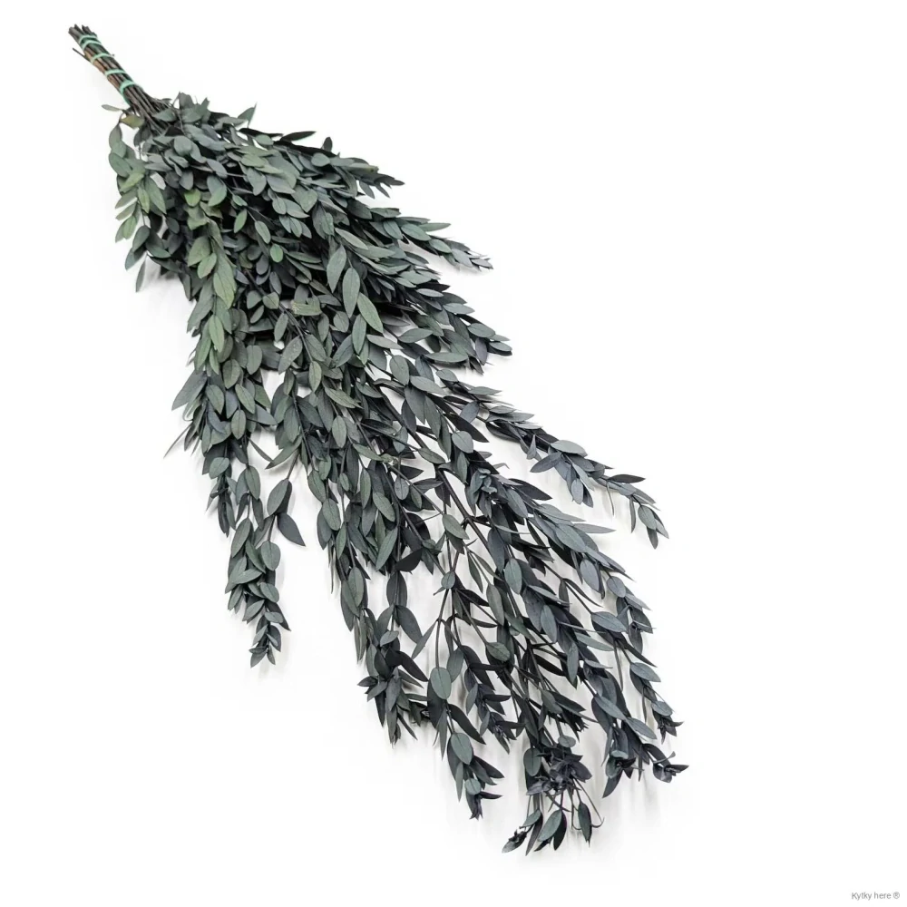 Eukalyptus parvifolia