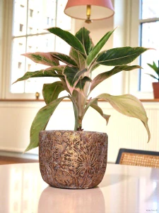 Kameninový obal růžovo zlatý