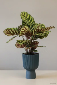 Elho pot na nožce modrý 