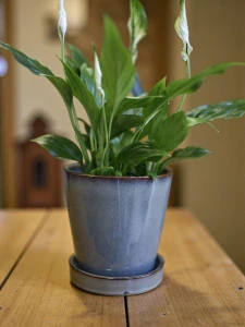 Keramický květináč s podmiskou 