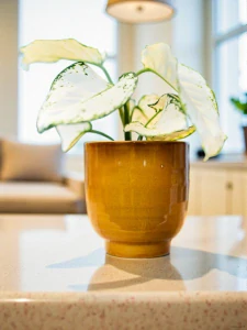 Hořčicový květináč s lesklou glazurou