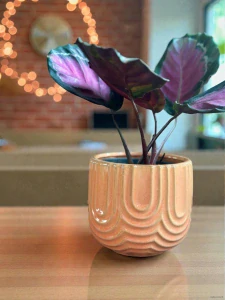 Boho květináč oranžový