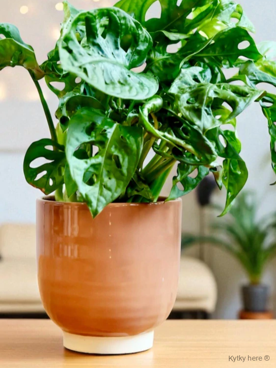 Keramický květináč – latté