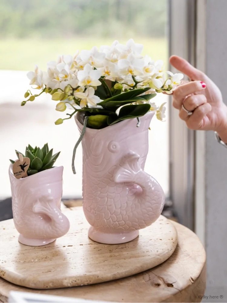 Fish pot - růžové varianty