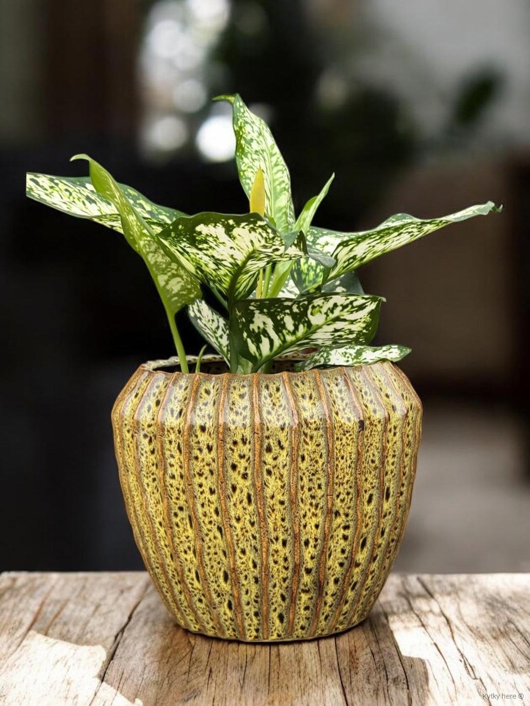 Keramický obal Limone