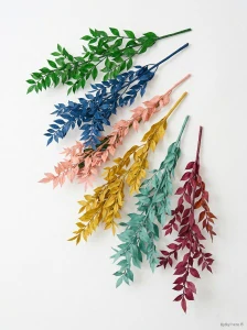 Stabilizovaný ruscus