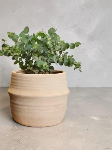 Obal Lisboa cream edge