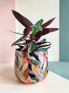 Obal Bombay Pink