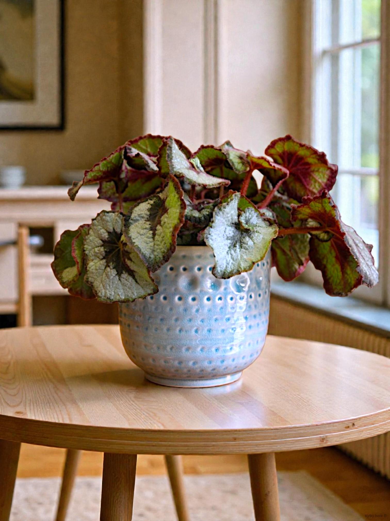 Světle modrý keramický obal 