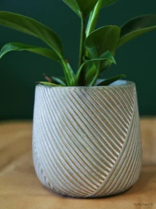 Betonový obal světle zelený