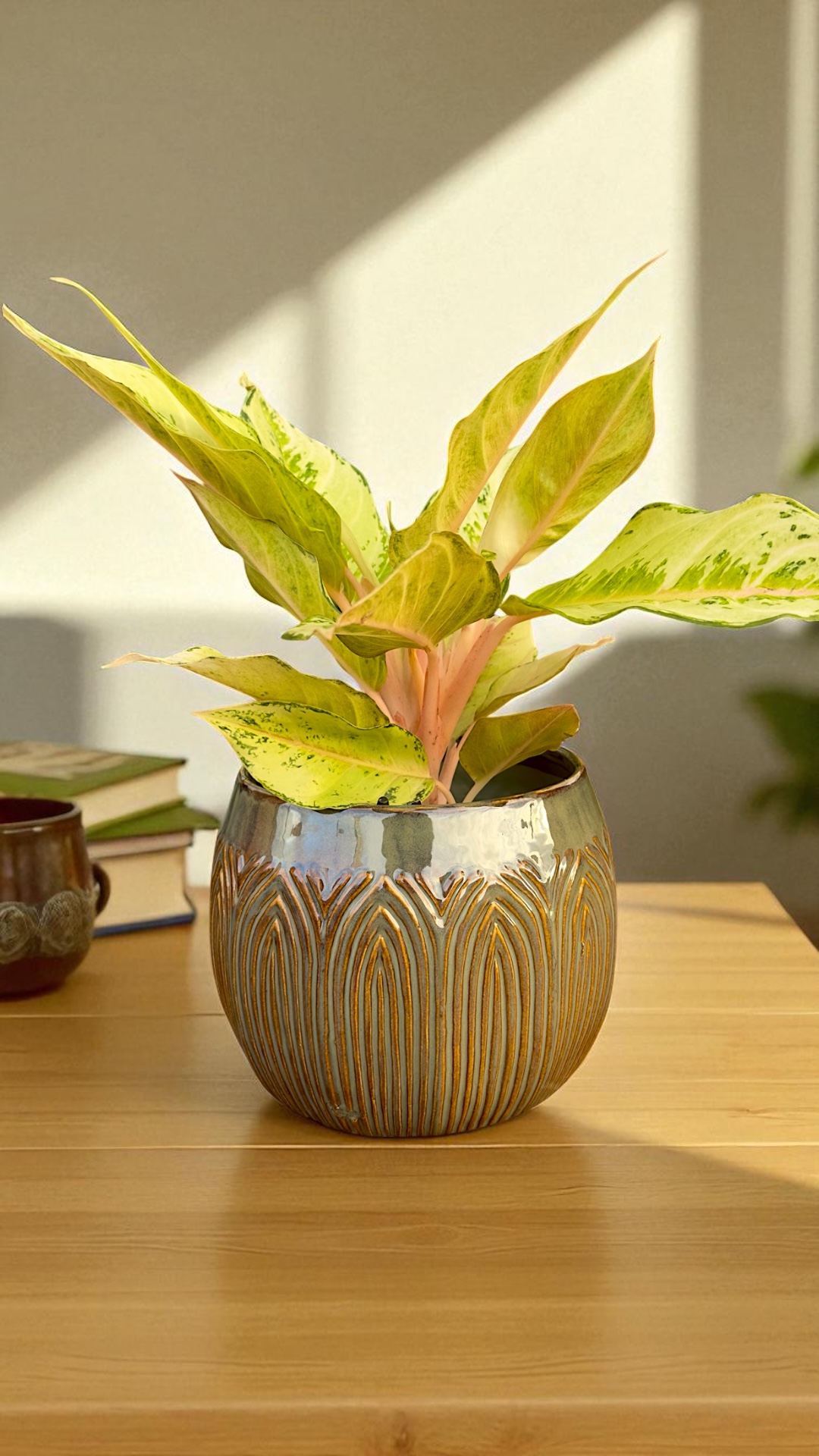 Aglaonema Chartreuse Pretty