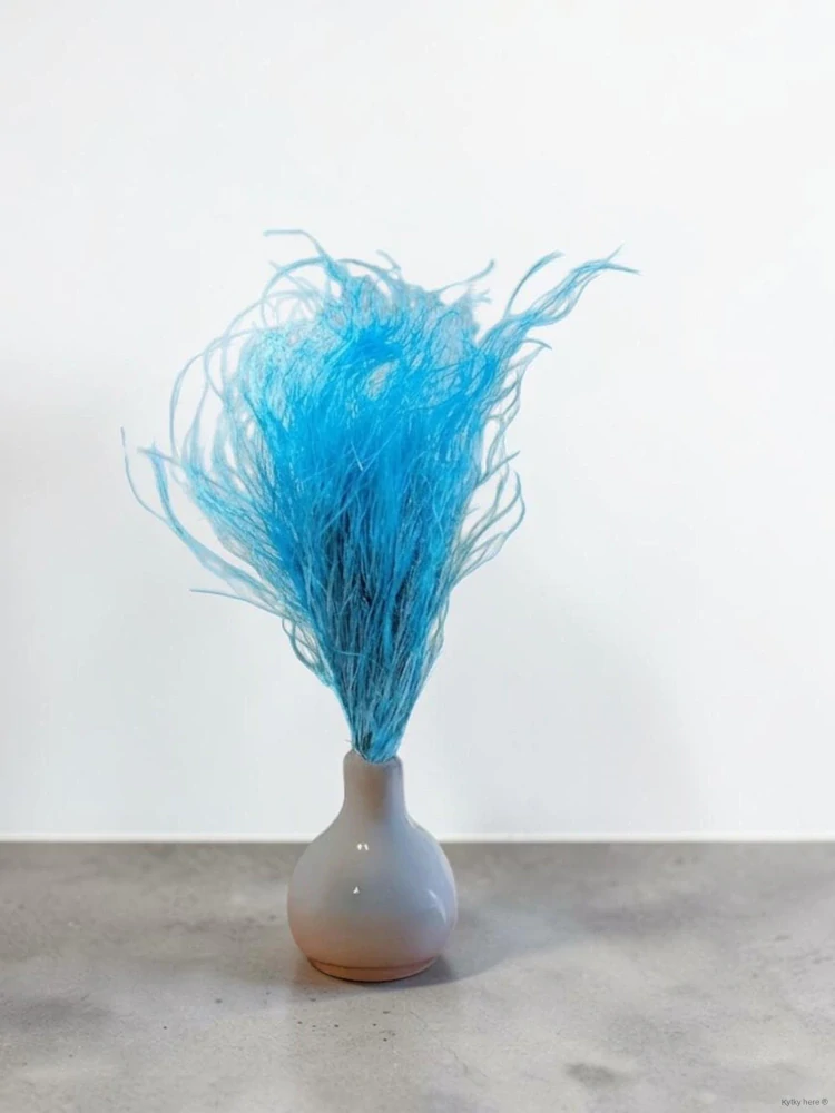 Kavyl / Stipa