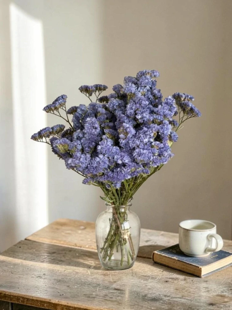 Limonium modré