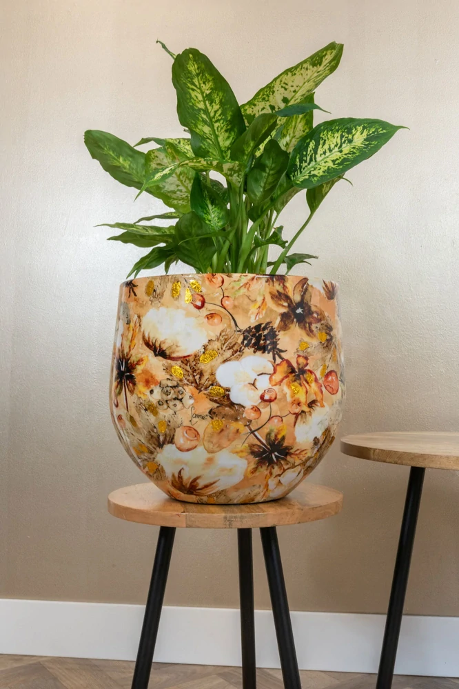 Obal Designed by Lammie - Cotton Cream