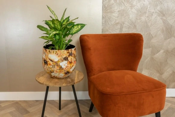 Obal Designed by Lammie - Cotton Cream