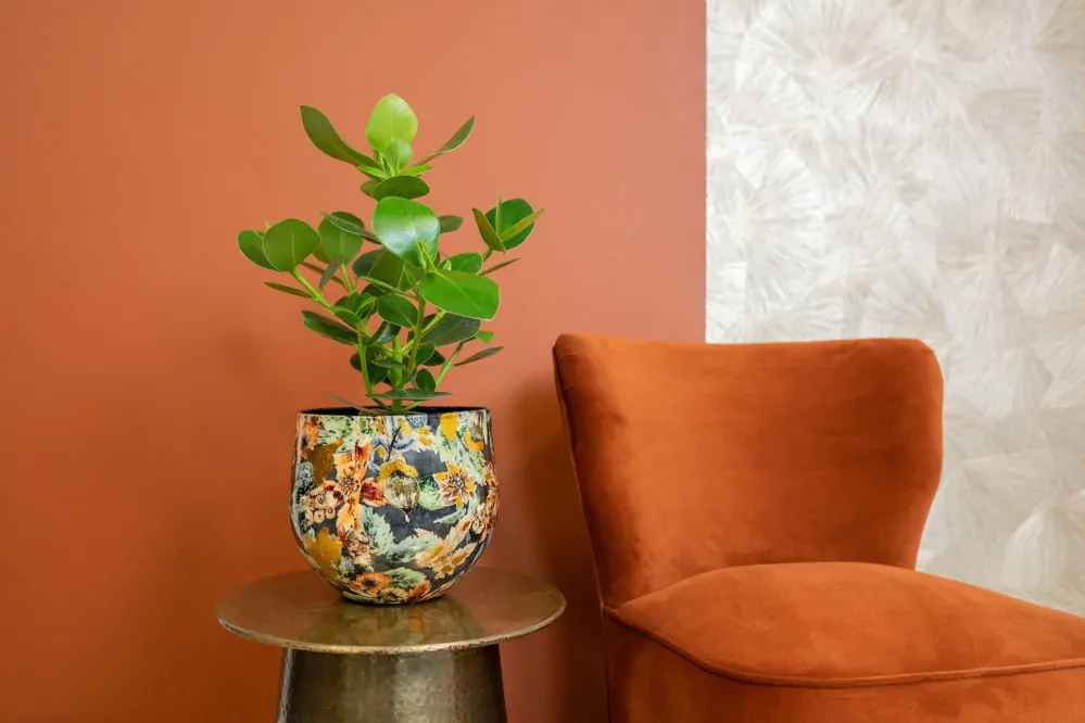 Obal Designed by Lammie - Berry Blue