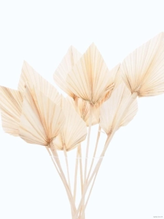 Palmové listy tvarované bělené