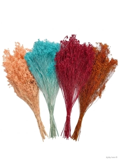 Broom bloom