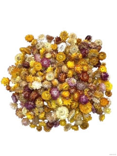 Helichrysum hlavičky 100 g