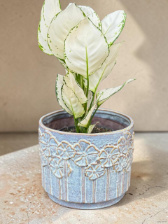 Obal Lilou ice blue
